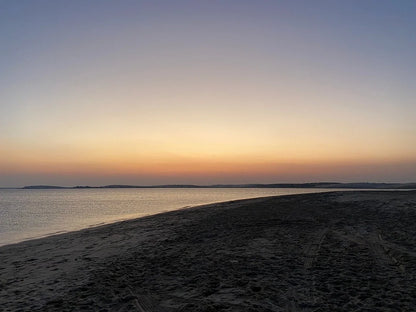 दोहा: डेजर्ट सफारी विद ड्यून बैशिंग, ऊंट की सवारी और सैंडबोर्डिंग