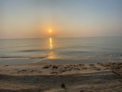 दोहा: डेजर्ट सफारी विद ड्यून बैशिंग, ऊंट की सवारी और सैंडबोर्डिंग