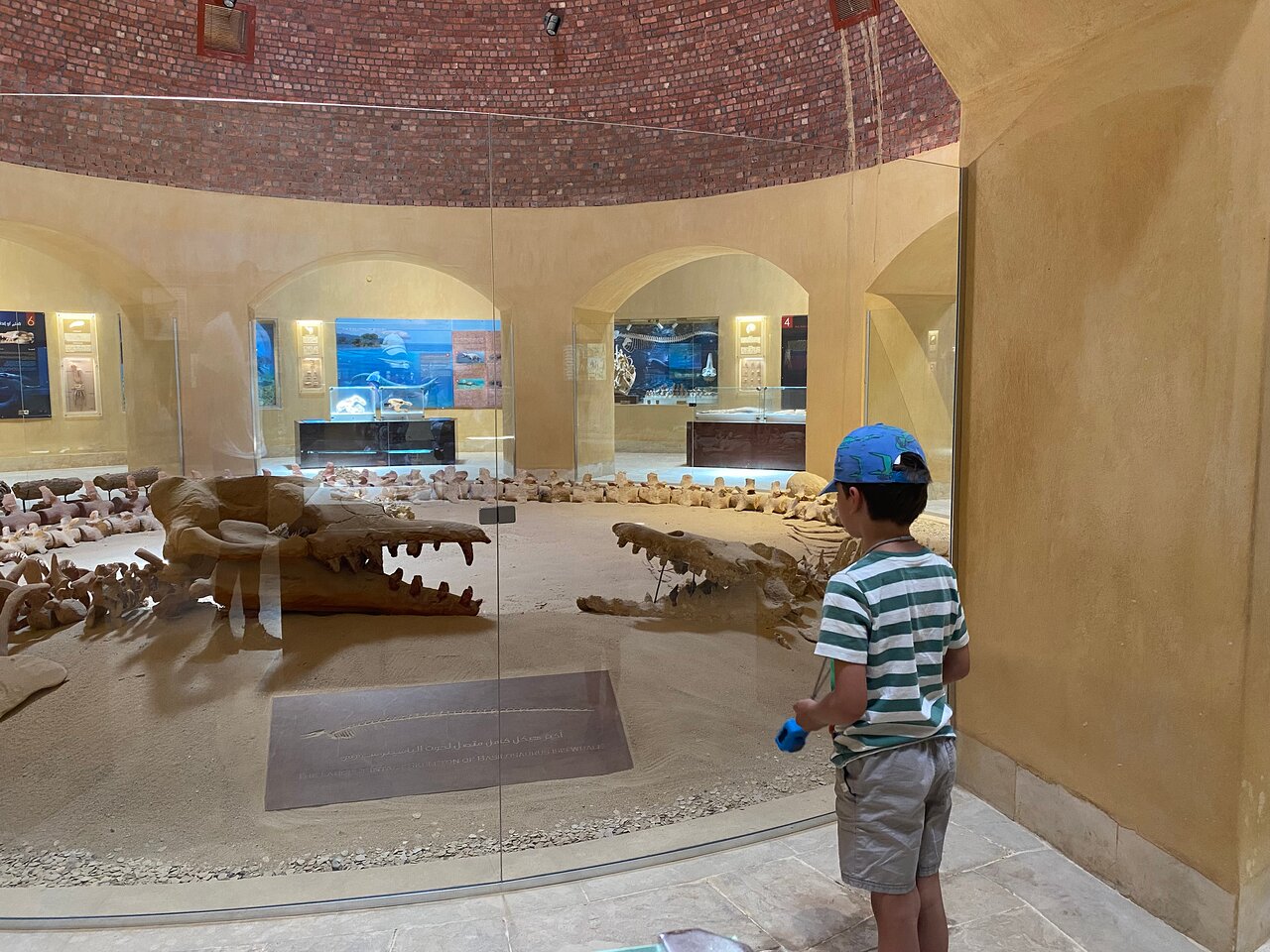 カイロ発: プライベートガイド付きファイユームオアシス日帰りツアーと砂漠サファリ