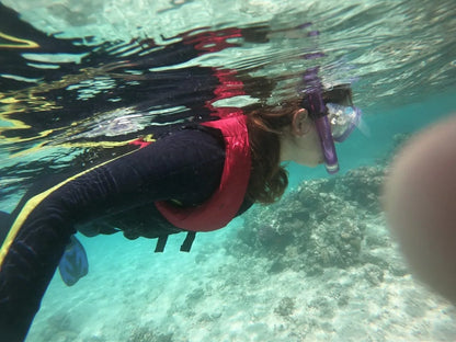 Marsa Alam: Croazieră VIP de elită cu snorkeling și prânz la Turtle Bay