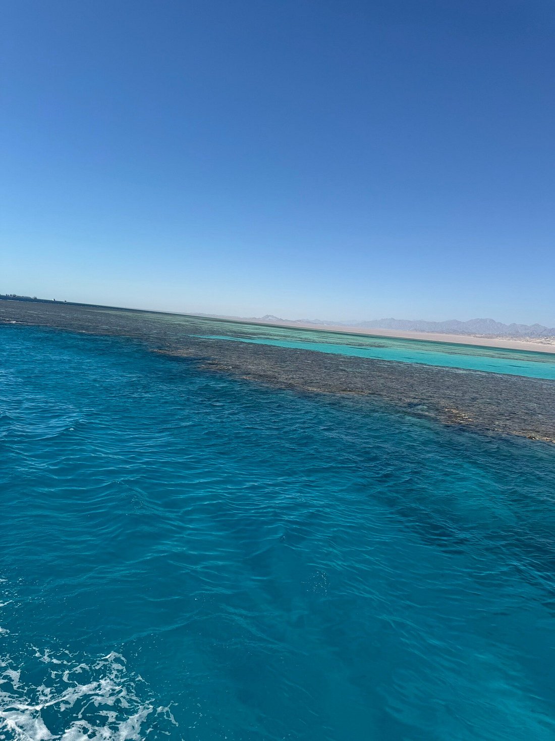 Sharm El Sheikh: Ras Muhammad Nasjonalpark Snorklingstur med Hvitøya
