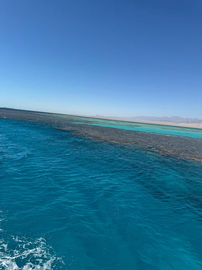 Sharm El Sheikh: Ras Muhammad Nasjonalpark Snorklingstur med Hvitøya