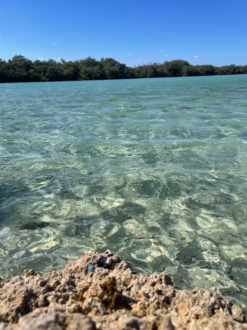 Sharm El Sheikh: Safari de Jipe 4x4 para Blue Hole, Canyon e Dahab