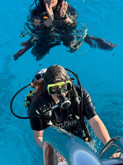 Sharm El Sheikh: Ras Muhammad Nasjonalpark Snorklingstur med Hvitøya