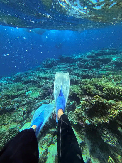 Sharm El Sheikh: Safari de Jipe 4x4 para Blue Hole, Canyon e Dahab