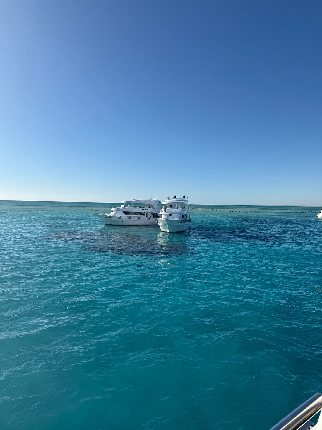 Sharm El Sheikh: Ras Muhammad Nasjonalpark Snorklingstur med Hvitøya
