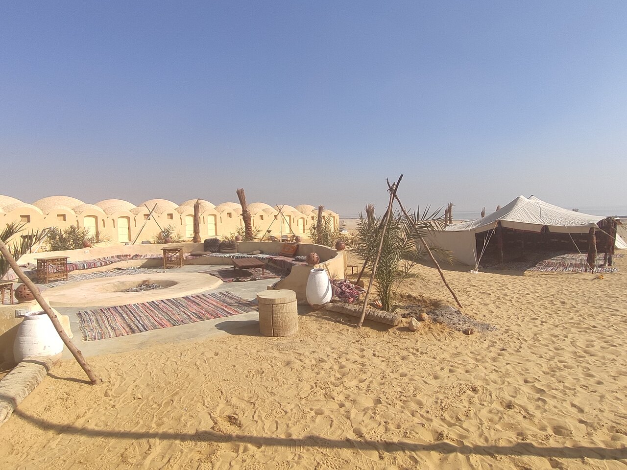 カイロ発: プライベートガイド付きファイユームオアシス日帰りツアーと砂漠サファリ