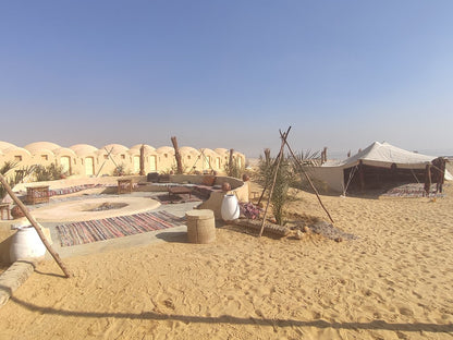 カイロ発: プライベートガイド付きファイユームオアシス日帰りツアーと砂漠サファリ