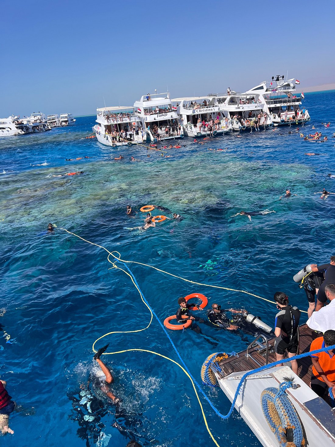 Sharm El Sheikh: Ras Muhammad Nasjonalpark Snorklingstur med Hvitøya