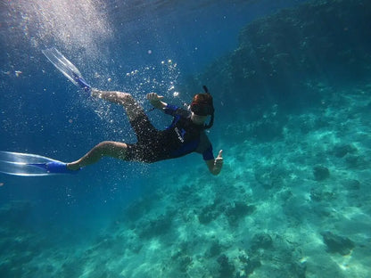 沙姆沙伊赫：拉斯穆罕默德和白岛浮潜游船之旅（可选潜水）