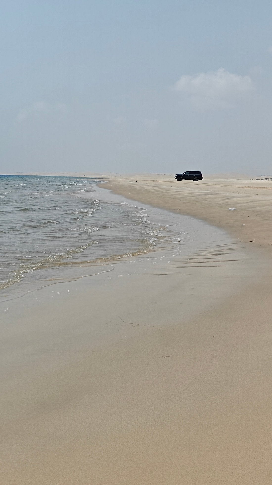 Doha : utilisation d'une journée dans un camp dans le désert, safari en option, sandboard et balade à dos de chameau