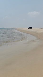 Doha: Dagsbruk i ørkenleir, valgfri safari, sandboarding og kameltur