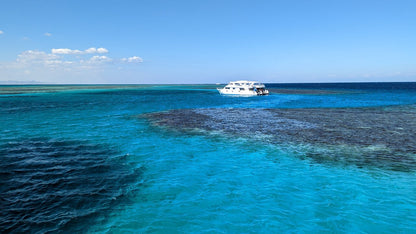 Desde Safaga: Tour de Delfines con Snorkel y Banana Boat