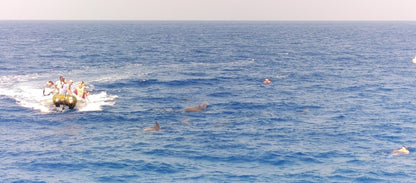 Hurghada: Delfintour mit Schnorcheln und Bananenboot