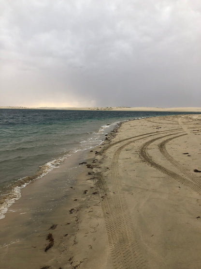Doha : safari privé d'une demi-journée dans le désert, embarquement sur sable, balade à dos de chameau et visite de la mer intérieure