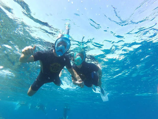 Sharm El Sheikh: Snorkletur med båt til Tiran-øya