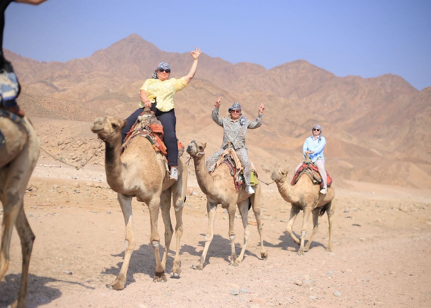 From Sharm El Sheikh: tour guiado al Blue Hole, el Cañón de Colores y Dahab