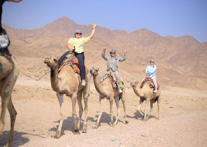 From Sharm El Sheikh: tour guiado al Blue Hole, el Cañón de Colores y Dahab