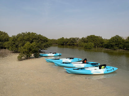 From Doha: Passeio de caiaque pelos manguezais da Purple Island, em Al Khor
