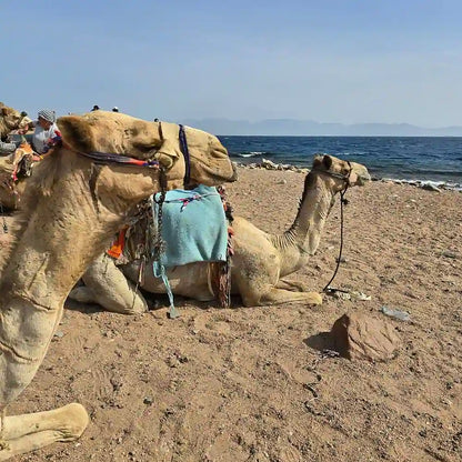 Sharm El Sheikh: Safari de Jipe 4x4 para Blue Hole, Canyon e Dahab