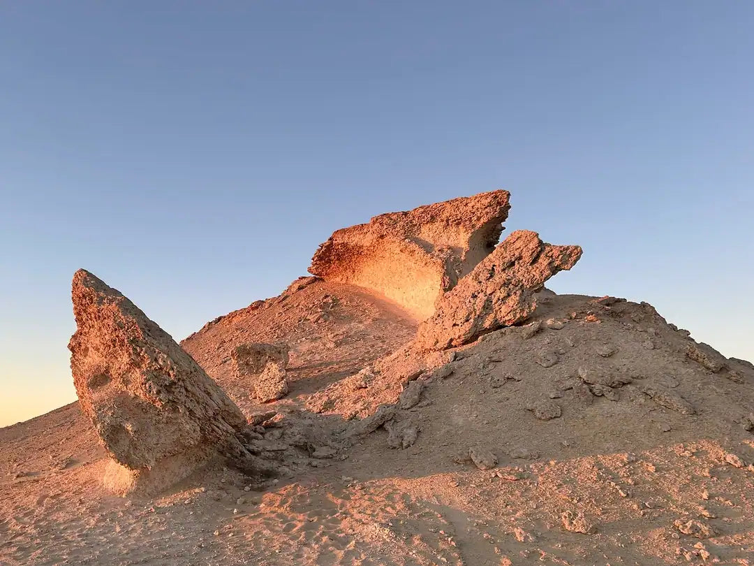 Doha: Heldags privat tur til Nord- og Vest-Qatar