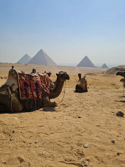 カイロ：ギザのピラミッドとスフィンクスへの半日ツアー