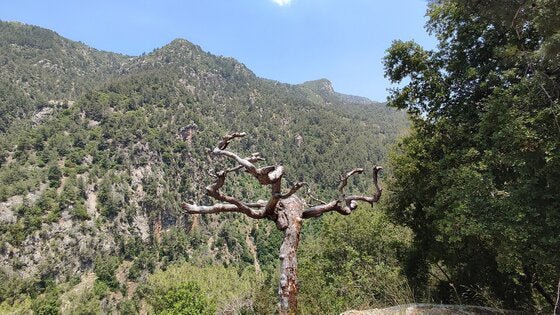从贝鲁特出发：Chouwen 湖徒步和游泳体验
