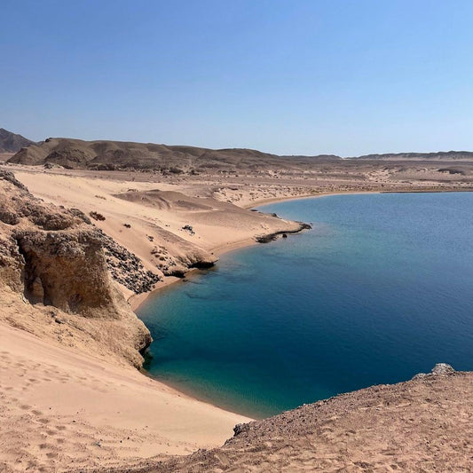 Sharm El Sheikh: viagem de mergulho com snorkel de meio dia em Ras Muhammed