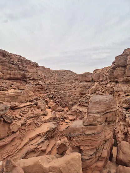 Sharm El Sheikh: Safari de Jipe 4x4 para Blue Hole, Canyon e Dahab