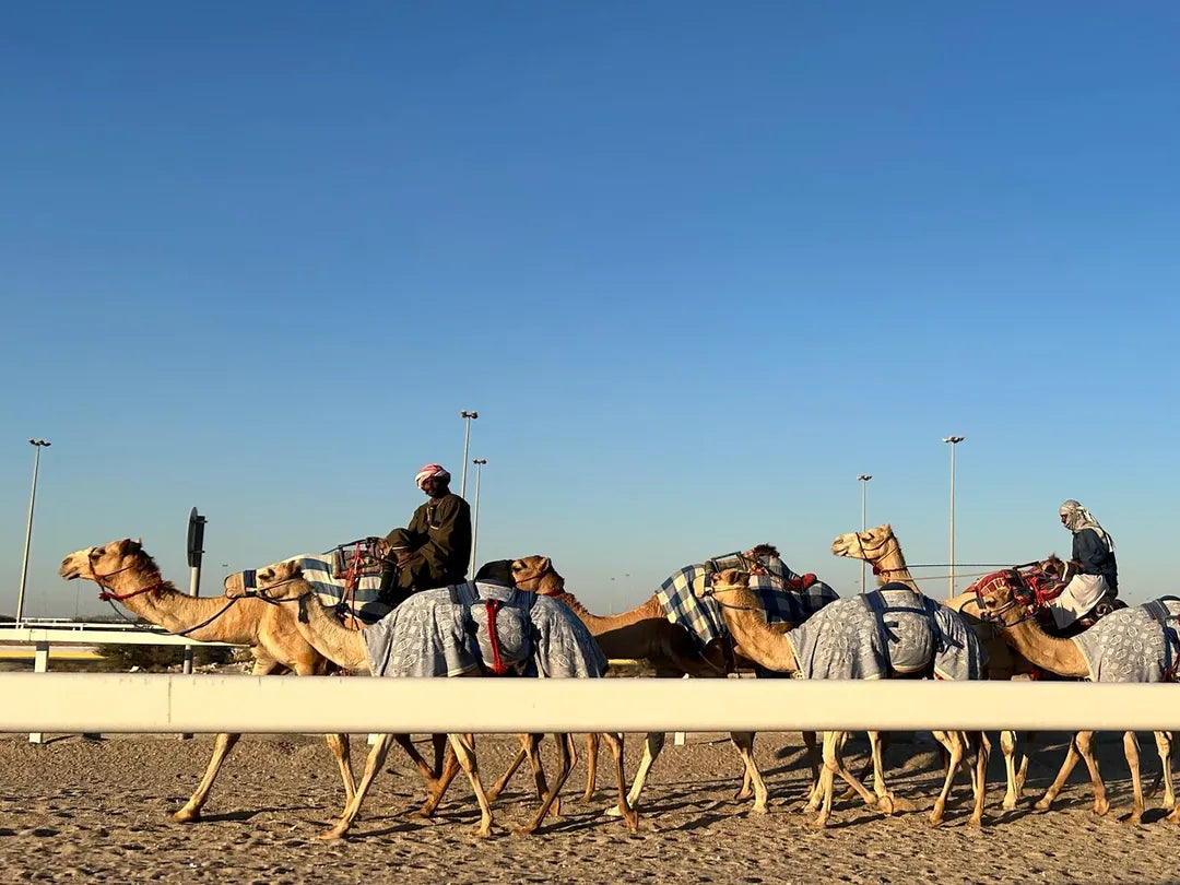 Doha: Heldags privat tur til Nord- og Vest-Qatar