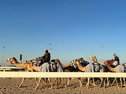 Doha: Heldags privat tur til Nord- og Vest-Qatar