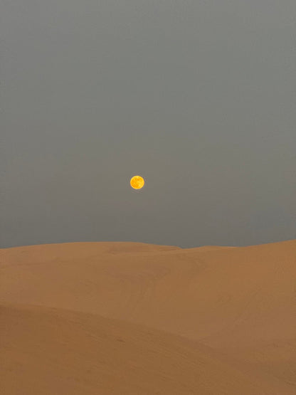 Doha : Safari dans le désert avec sandboard, visite de la mer intérieure et balade à dos de chameau en option