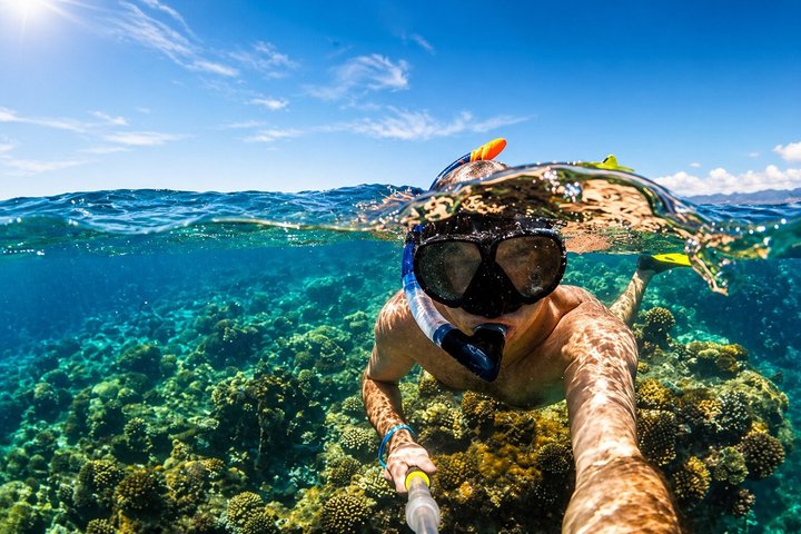 沙姆沙伊赫：私人VIP快艇浮潜之旅