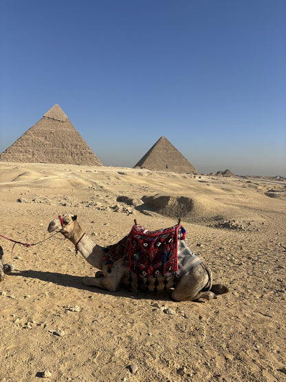 カイロ：古代ギザのピラミッド、スフィンクスとパピルス博物館プライベートガイドVIPツアー