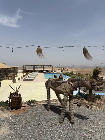 Dari Marrakech: Naik Unta di Gurun Agafay dengan Pertunjukan Makan Malam