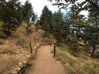 Von Beirut: Bcharre, Qadisha Valley & Cedars Tour
