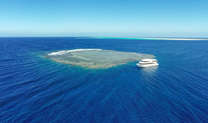 Marsa Alam: excursie cu barca de snorkeling la Coral Garden cu prânz