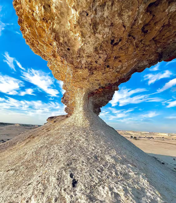 Doha: Westküste Katar, Kamelrennen und Wüstenskulpturen