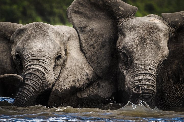 Dar es Salaam: 3 - Day Selous Game Reserve Safari