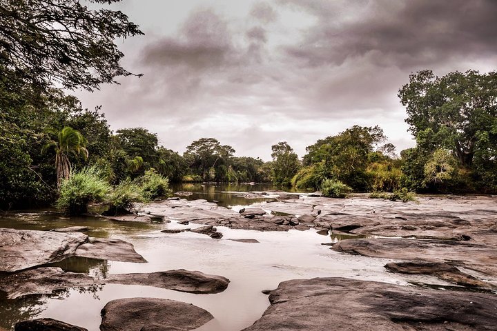 Dar es Salaam: 3 - Day Selous Game Reserve Safari
