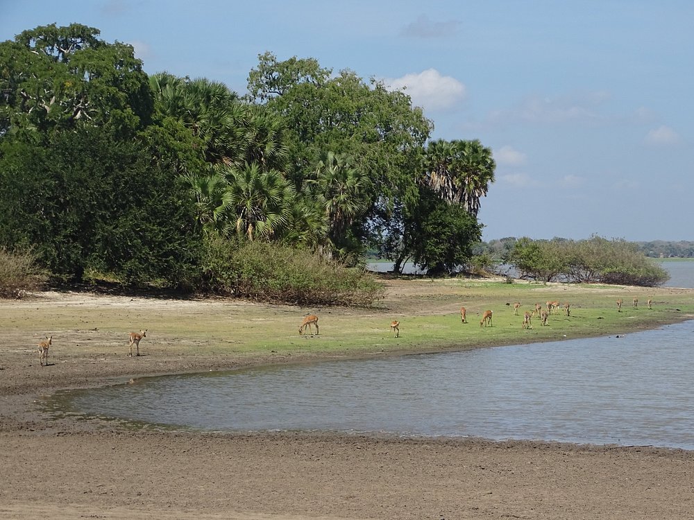 Dar es Salaam: 3 - Day Selous Game Reserve Safari