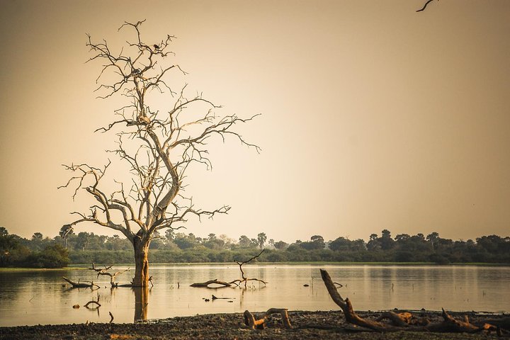 Dar es Salaam: 3 - Day Selous Game Reserve Safari