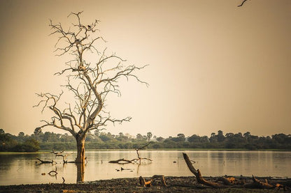 Dar es Salaam: 3 - Day Selous Game Reserve Safari