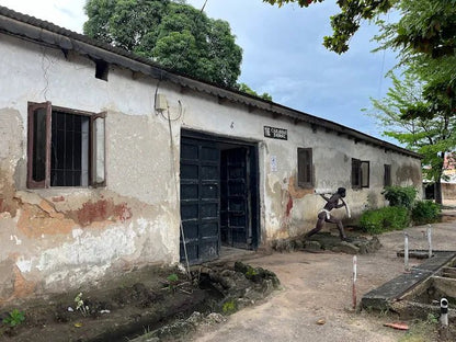Dar es Salaam: 4 - Days Private Bagamoyo and Saadani Safari with Beach and Wildlife Tour