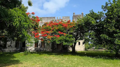 Dar es Salaam: 4 - Days Private Bagamoyo and Saadani Safari with Beach and Wildlife Tour