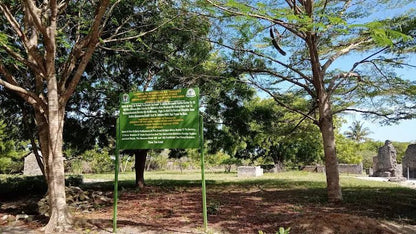Dar es Salaam: 4 - Days Private Bagamoyo and Saadani Safari with Beach and Wildlife Tour