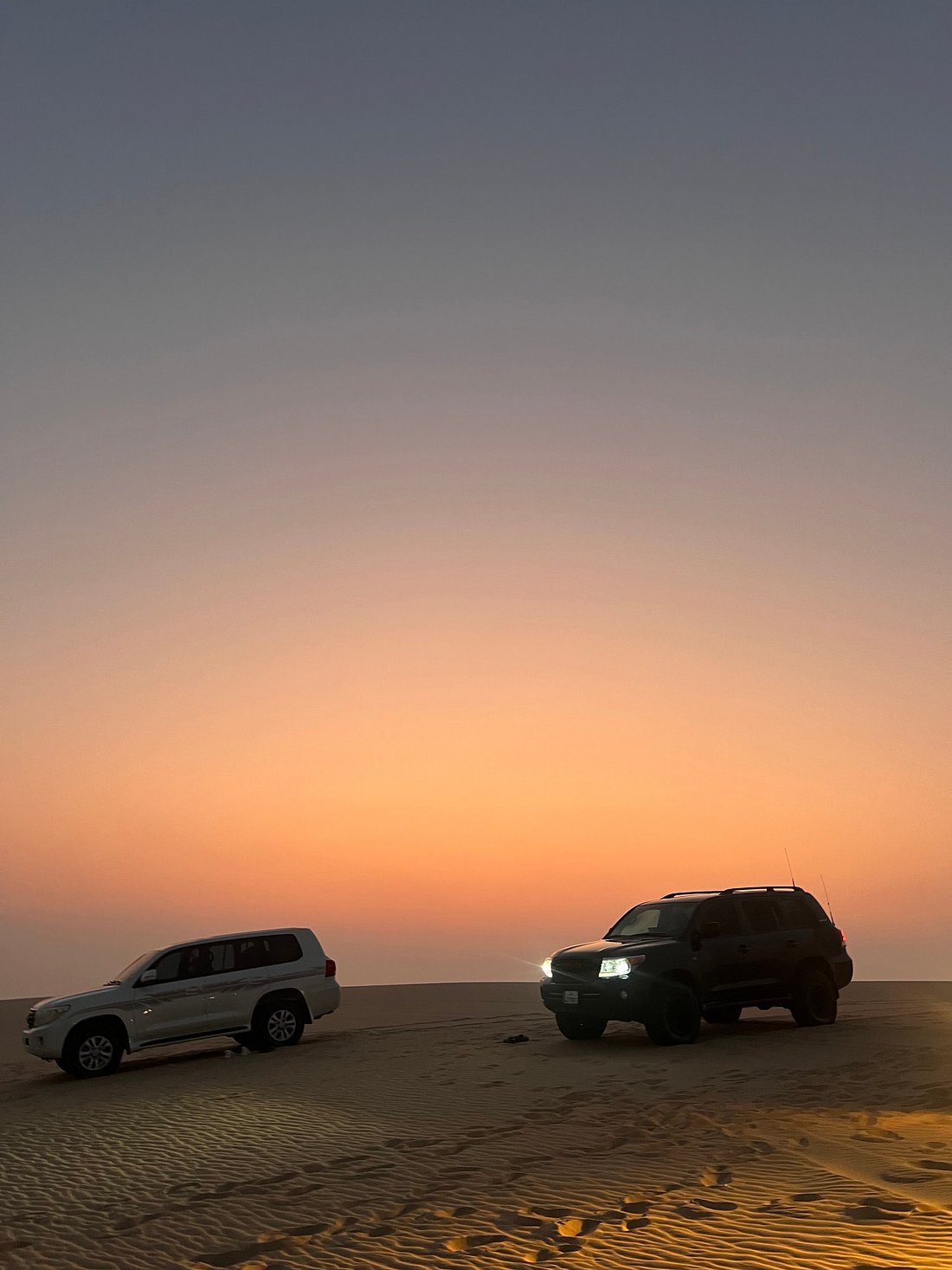 Doha: 4x4 Desert Tour with Inland Sea and Optional Activities