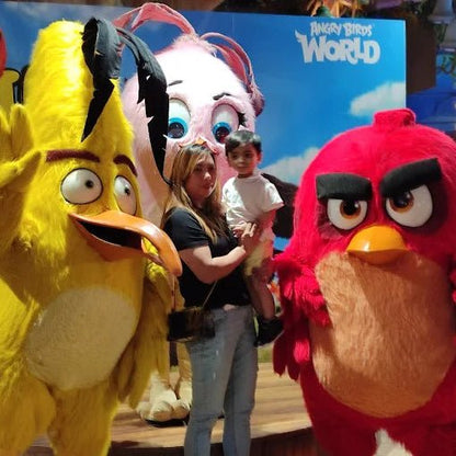 Doha: Angry Birds World Entry with Private Transfers
