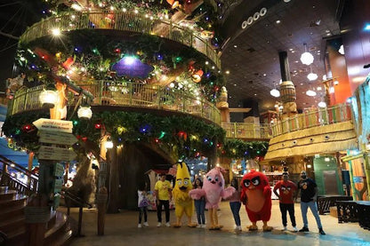 Doha: Angry Birds World Entry with Private Transfers