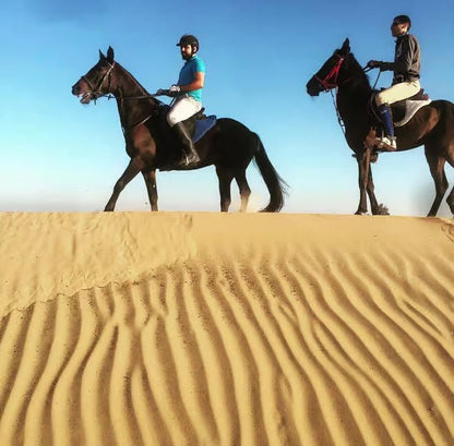 Doha: Arabian Horse Ride Experience with Hotel Pickup